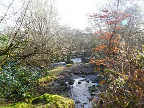 Dartmoor House B & B - Image 3