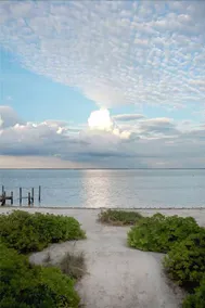 Dolphin Cottage - Image 5