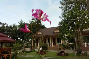 Baankafae Resort - Image 3