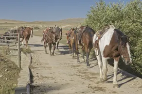 TA Guest Ranch - Image 3