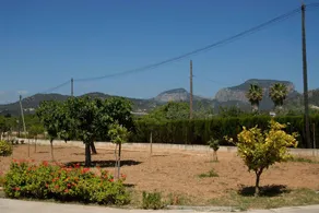 Villa Tugores Lloseta - Image 4