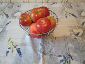 B&B Jolie Plaine - Image 4