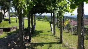 Vinosobroso Casa Rural - Image 3