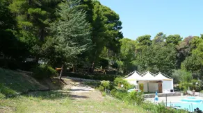 Camping Villaggio Internazionale - Image 5