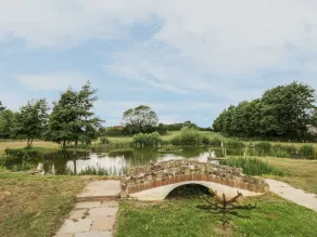 Pond View - Image 5