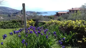 Bed and Breakfast Al Lizzo - Image 5