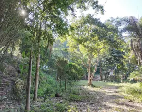 Farmstay At Pha Ma Chiangrai - Image 4