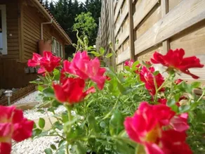 Le Chalet des Trois Quilles - Image 5