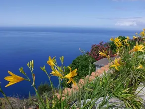 Spetacular House - ETC Madeira - Image 5