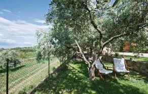 Il Cispo - Image 2