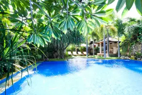 Pazzo Bali - Image 2