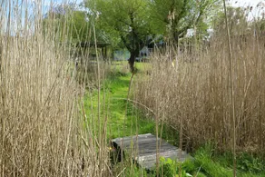 Birkelygaard - Image 5