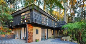 Misty Woods Retreat Olinda - Image 3