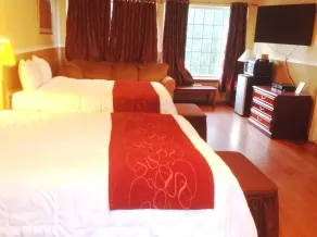 Village Inn - Image 3