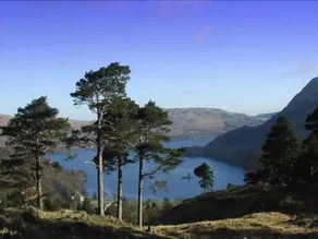 Cherry Holme - Image 5