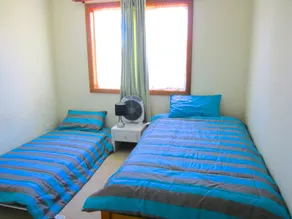 14 Lomandra - Image 3
