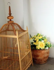 Sabai Chiangrai - Image 2