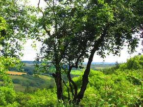 Yr Hafan - Image 3