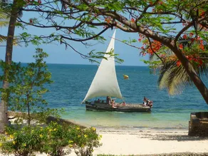 Driftwood Beach Club - Image 2