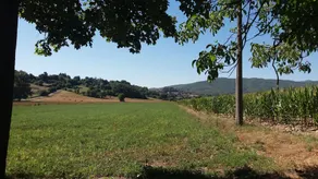 Fattoria Di Marena - Image 4