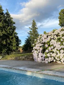 Villa With 8 Bedrooms in Mogadouro, With Private Pool, Terrace and Wifi - Image 5