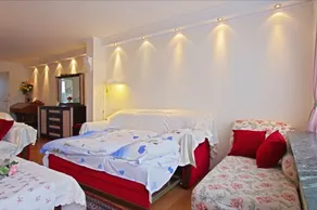 Private House Lincolnweg - Image 3