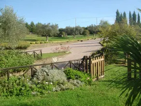 Villa Le Rondini - Image 2