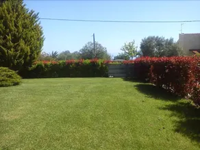 Marios House - Image 5