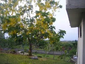 3D Home Stay - Image 2