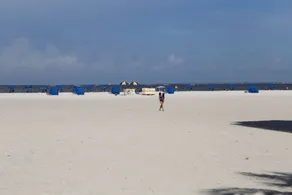 Island Winds 102 - Image 4