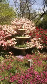 Edgewood Plantation - Image 4