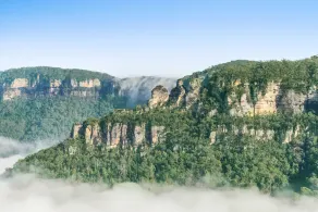 Coolabah - Image 3