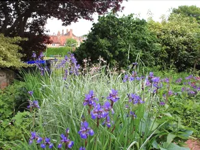 Beckford Cottage - Image 5