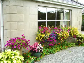Trean House - Image 4