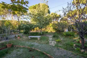 Bungalow Sirena - Image 2