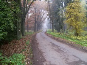 Steffi's Zimmervermietung - Image 2