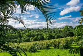 Bangalow Bungalow - Image 3