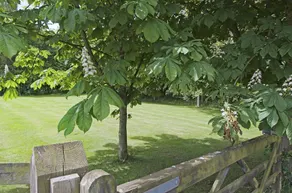 Marsh House Farm - Image 3