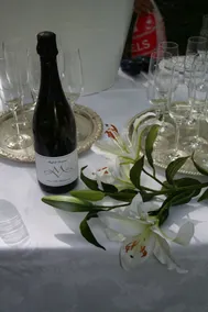 Mayfield Vineyard - Image 2