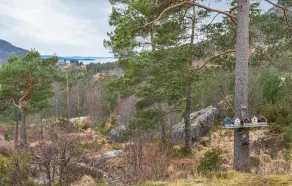 Lovely Home In Jorpeland With House Sea View - Image 3