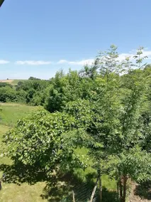 Gite De Lasbareilles - Image 3