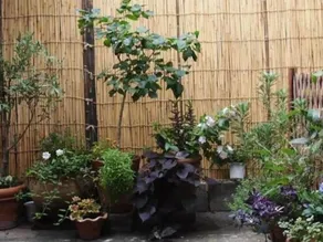 Guesthouse Usagi Momiji - Image 3