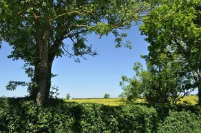 Holly Tree House - Image 4