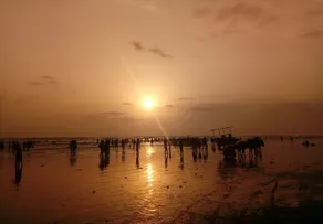 Tranquil Coast Resorts - Image 3