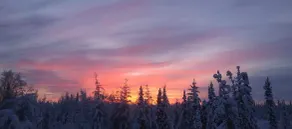 Moose Tracks B&B - Image 4