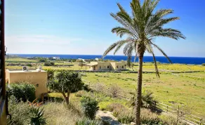 Il Giardino delle Aloe - Image 2