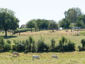 Countryside Holiday Home in Mechelen With Terrace - Image 2
