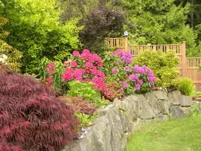 Hillcrest Avenue Bed & Breakfast - Image 2