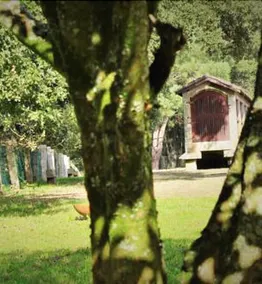 Quinta Grande da Raposeira - Image 3