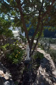 Casa Luisa - Image 3